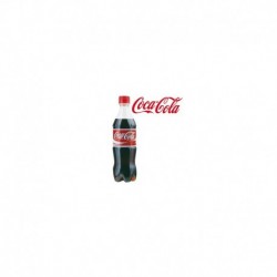 Coca Cola in bottiglia PET da 450 ml (24 Pz)