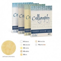 Carta Colorata CALLIGRAPHY A4 190 gr. 50 Fg. - 03 ORO - FAVINI A69W084