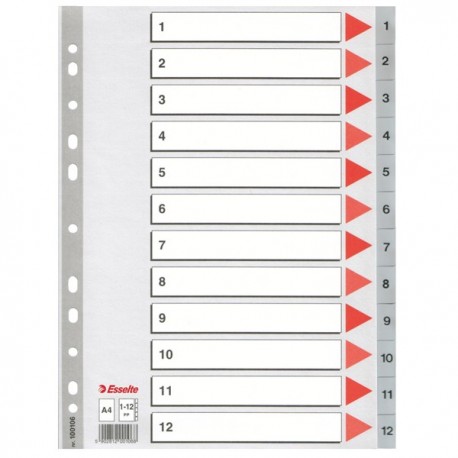 Separatore Numerico 1-12 PPL GRIGIO 22.5x29.7 cm. ESSELTE (conf. 10 Pz)